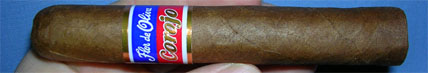 Flor de Oliva Corojo - 2